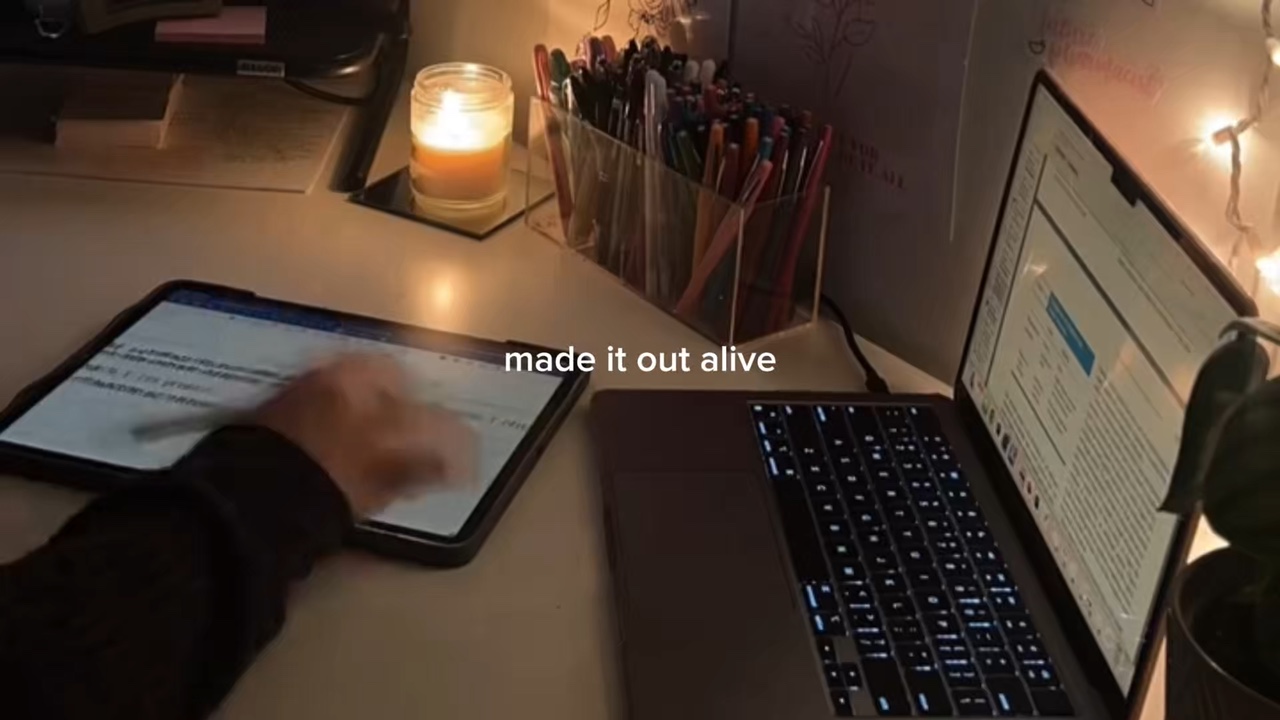 TIMELAPSE STUDY
