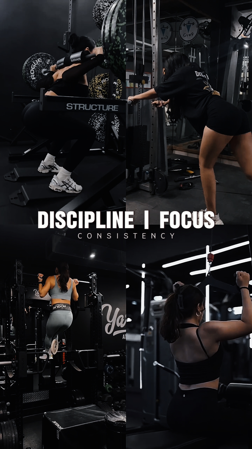 Foco disciplinar