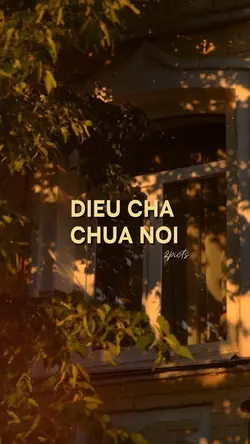 Điều cha chưa nói 