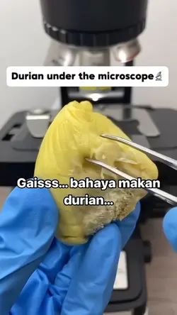 BAHAYA DUREN