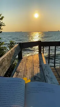 Aesthetic 