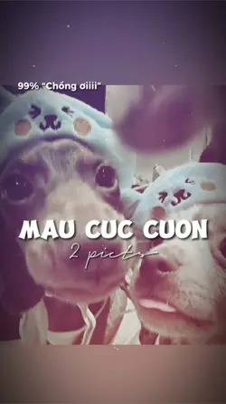 2 ẢNH GIẬT NHẸ