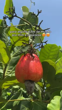 semana santa 