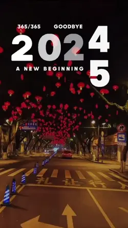 Goodbye year 2024