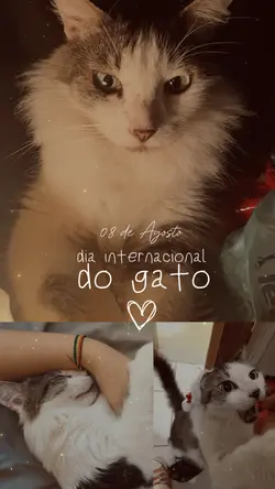 Dia do Gato