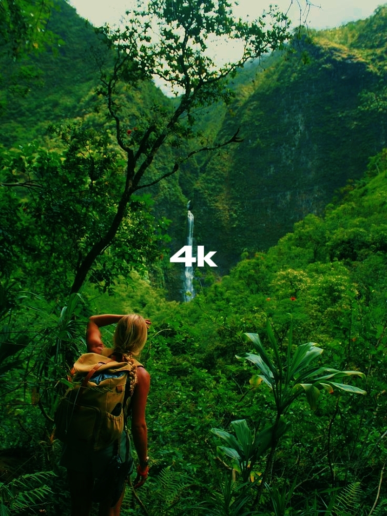 144P ke 4K | tren