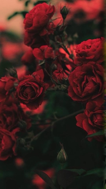 New music 