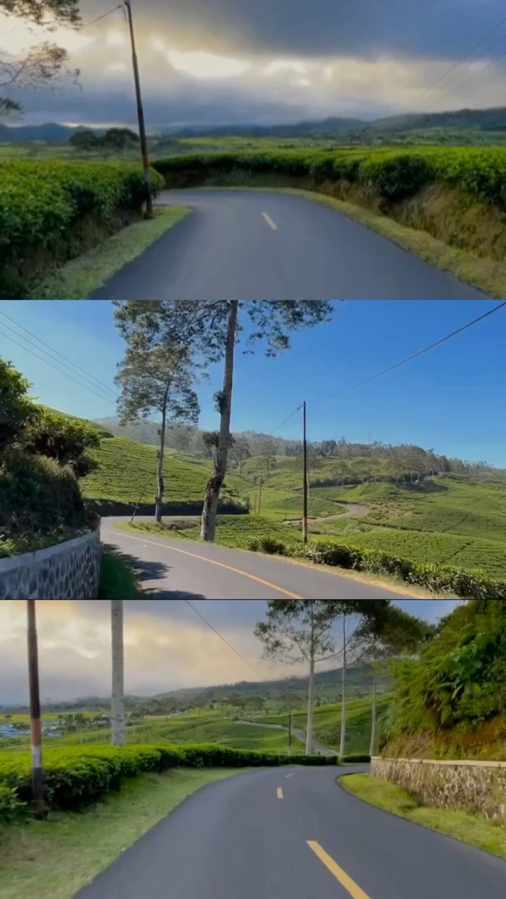 Diseño 3 videos