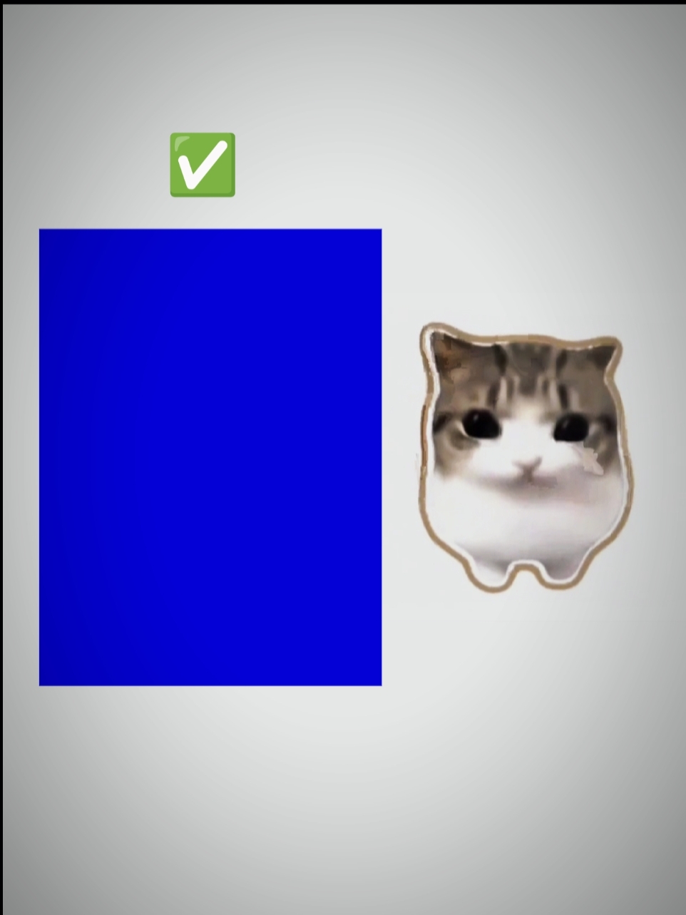KATZE TREND