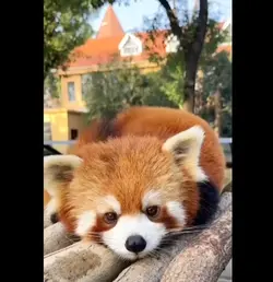暖一杯茶