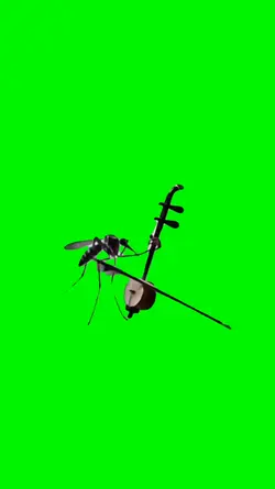 mosquito violin