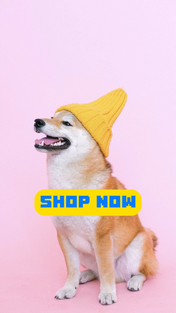 Exibição de produto de roupas para animais de estimação batendo no estilo TikTok