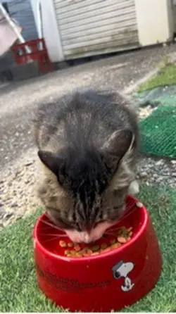 どんぱふどんちゃん😺🐾