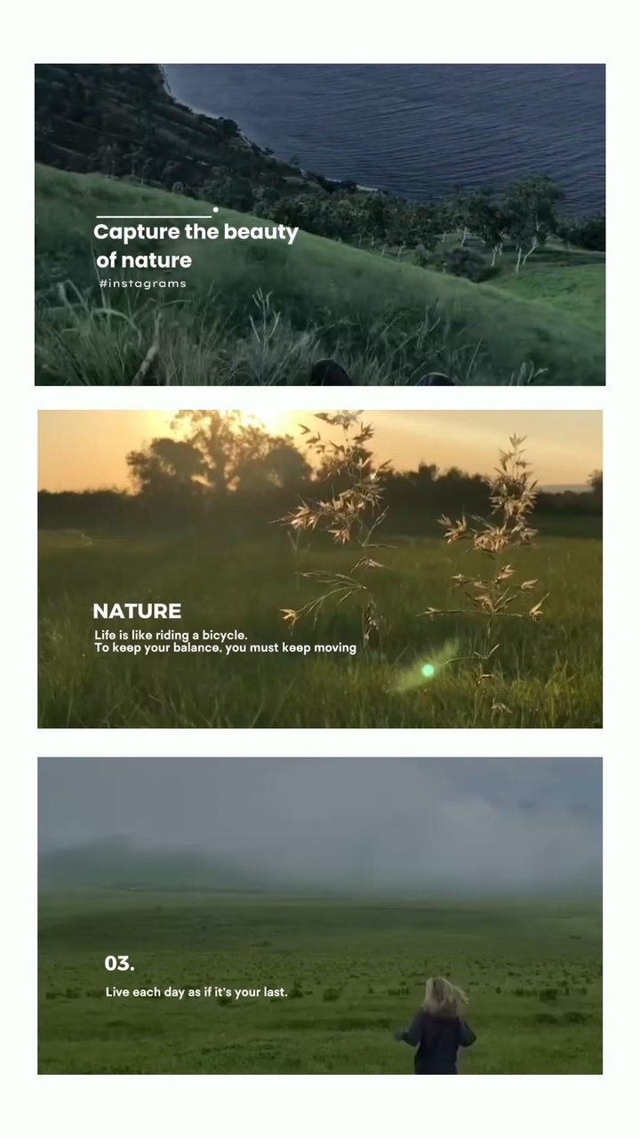 vlog chill nature