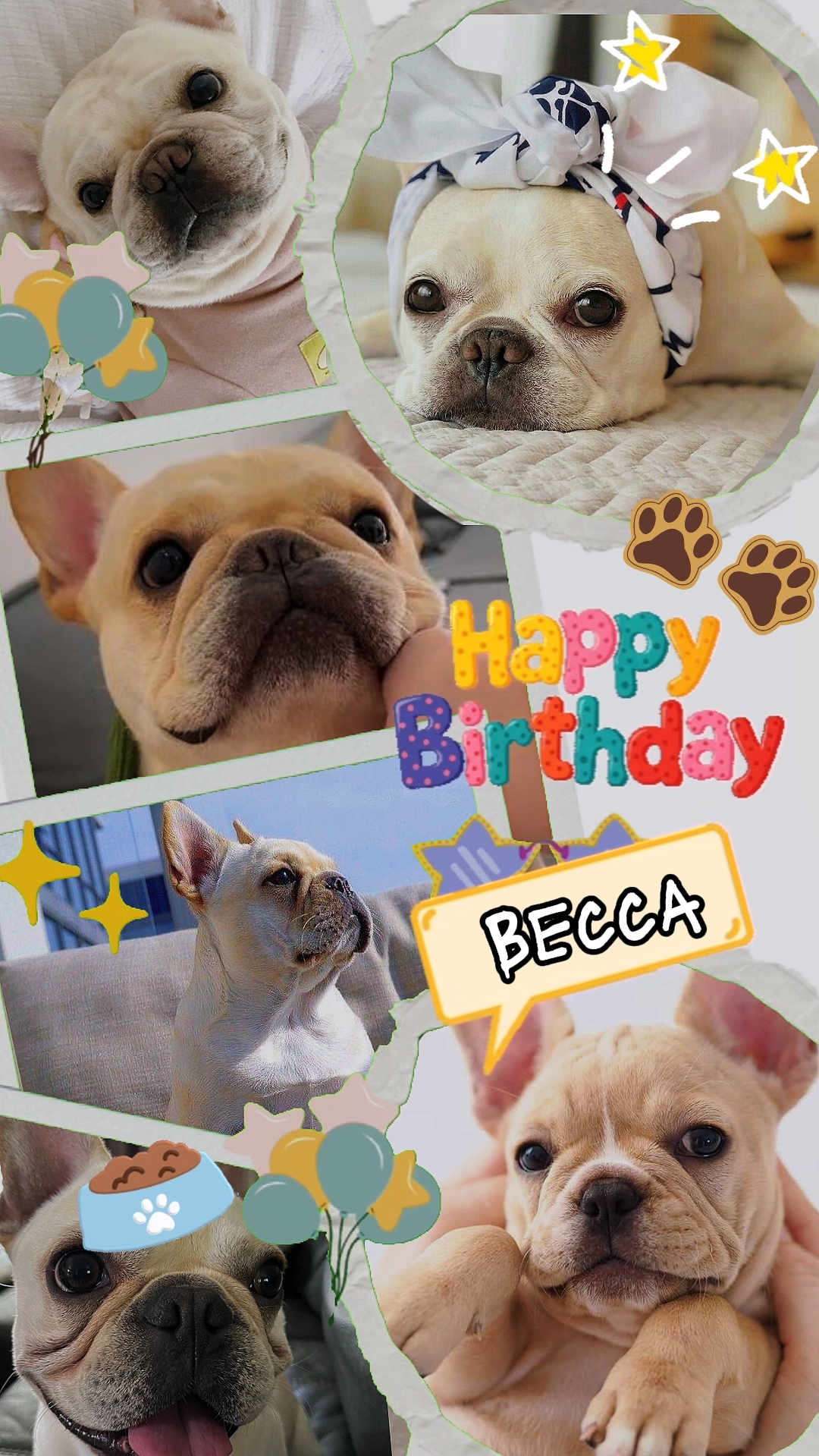 pets birthdaycollage