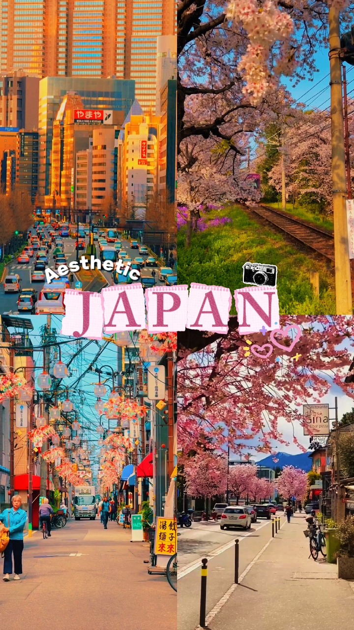 VIBRAS DE JAPÓN