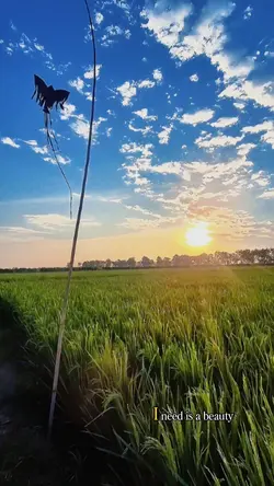Potret pertanian