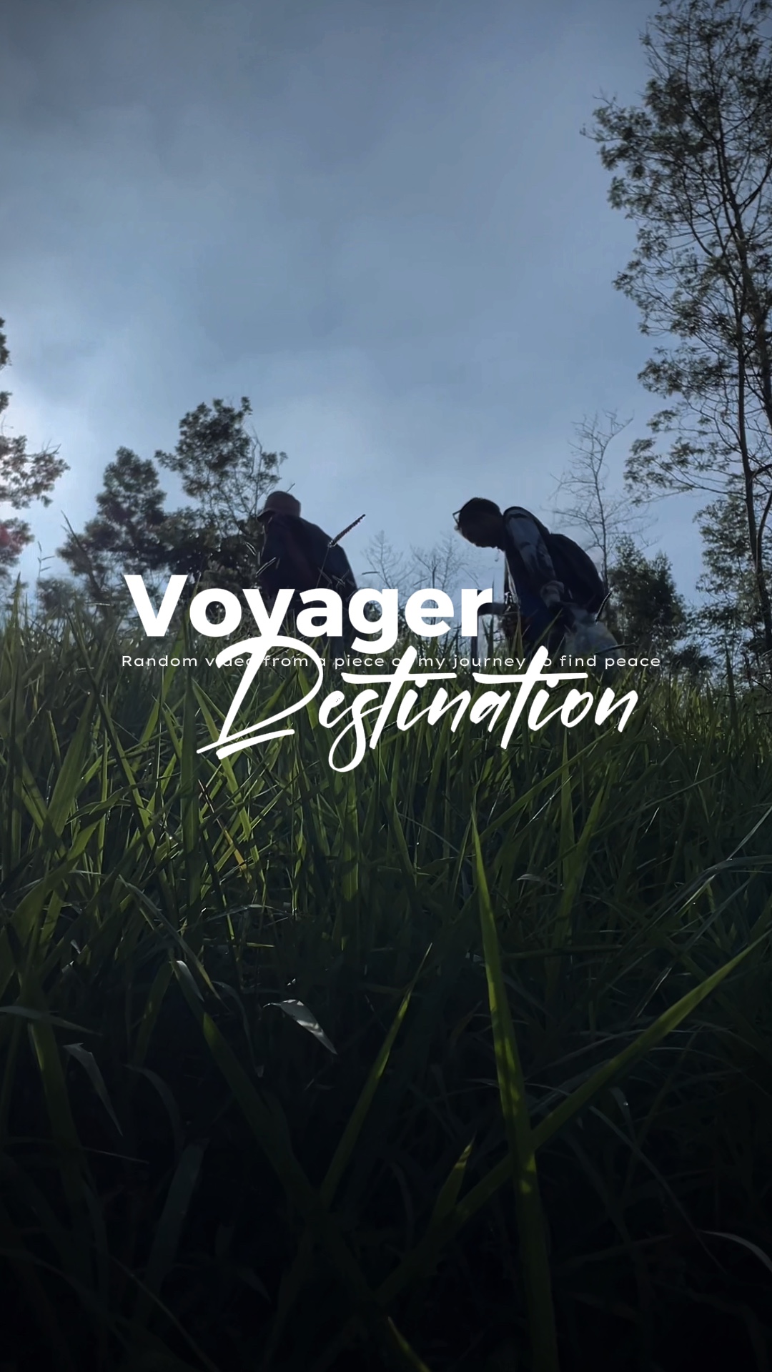 Destination Voyager