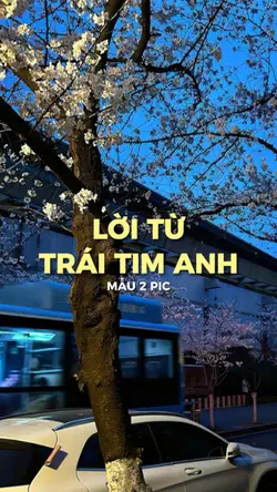 Rồi Đêm Anh Hay Nghĩ