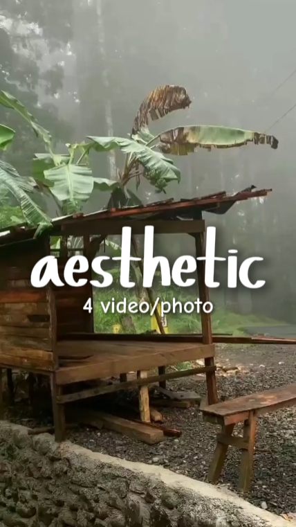  aesthetic 
