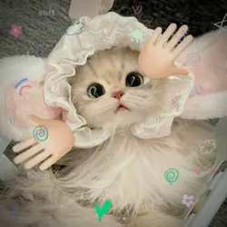 cute 