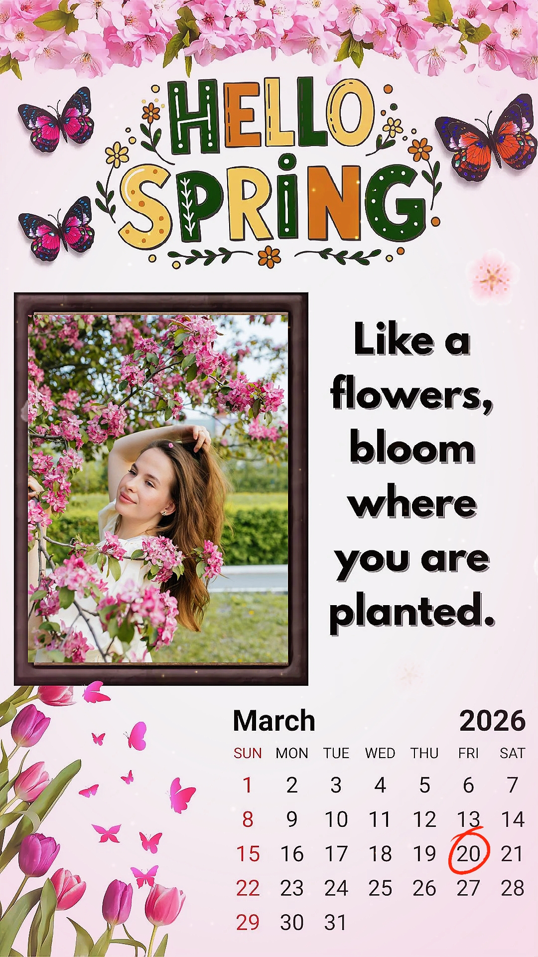 Hola Primavera 2026