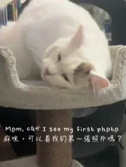 麻咪，可以看我的第一張照片嗎？