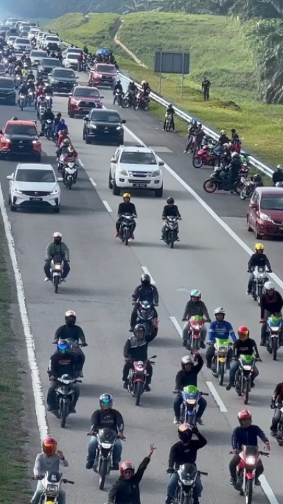 rahsia pohon cemara 