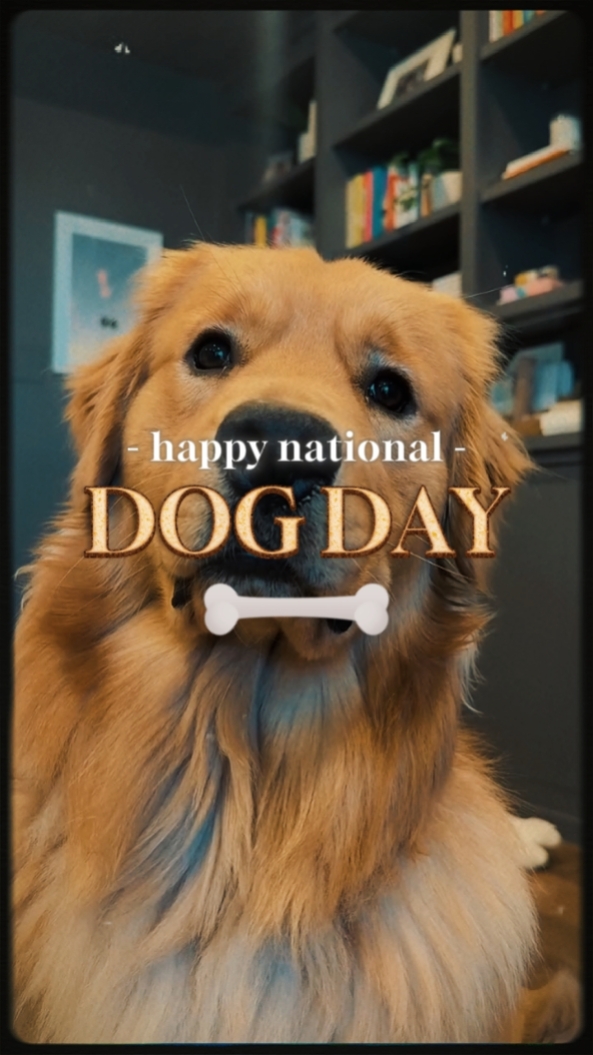 national dog day
