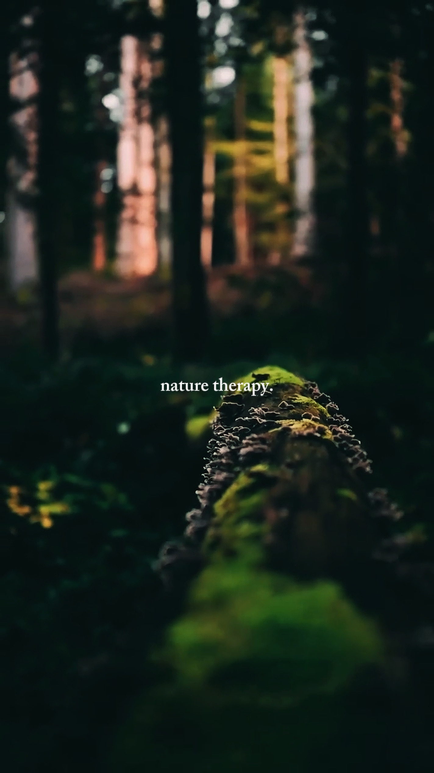 Nature therapy