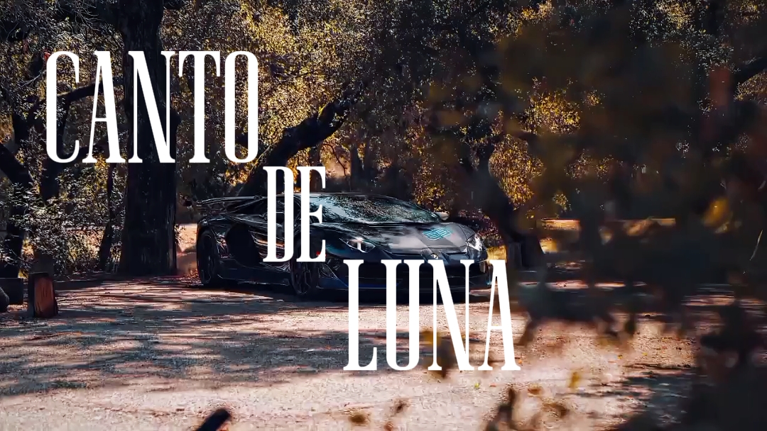 CANTO DE LUNA slow