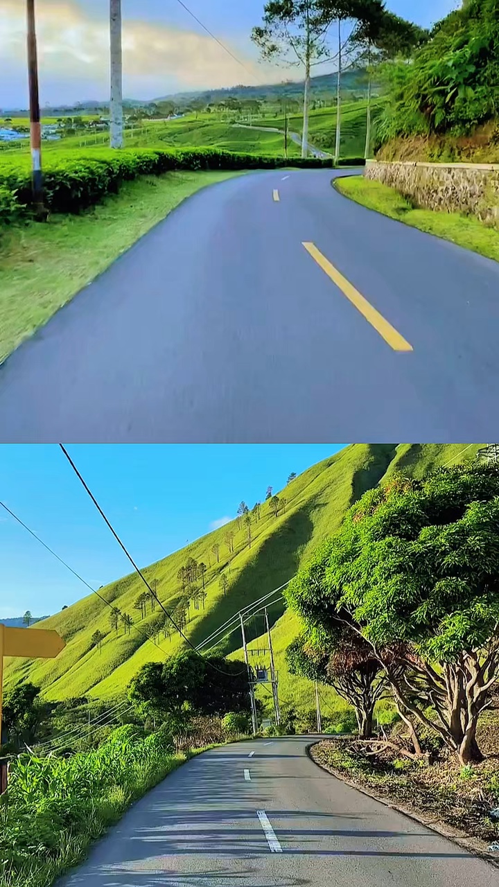 2 collage ng video