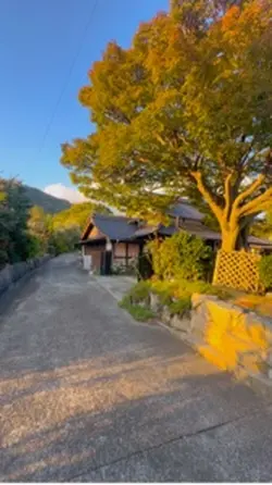 散歩日和