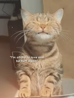 imafraidtolove