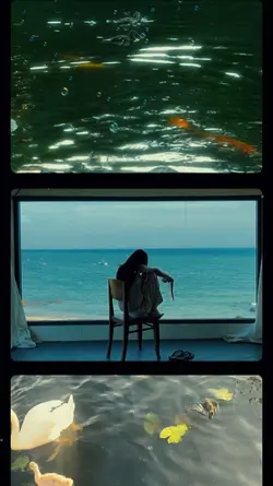 Cinematic scroll