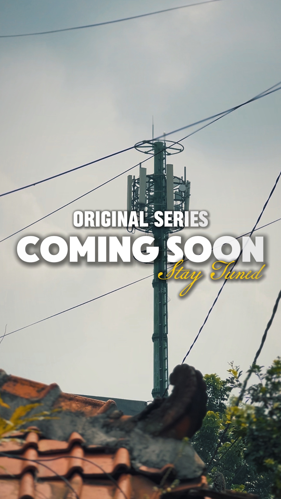 NEW COMING SOON 