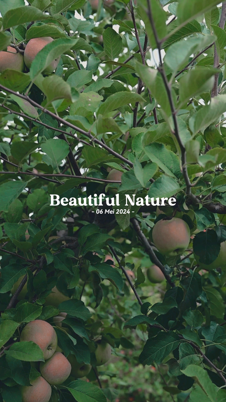 Hermosa naturaleza