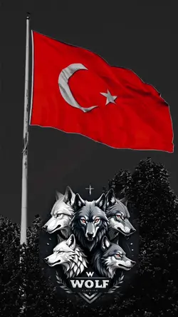 BOZKURT