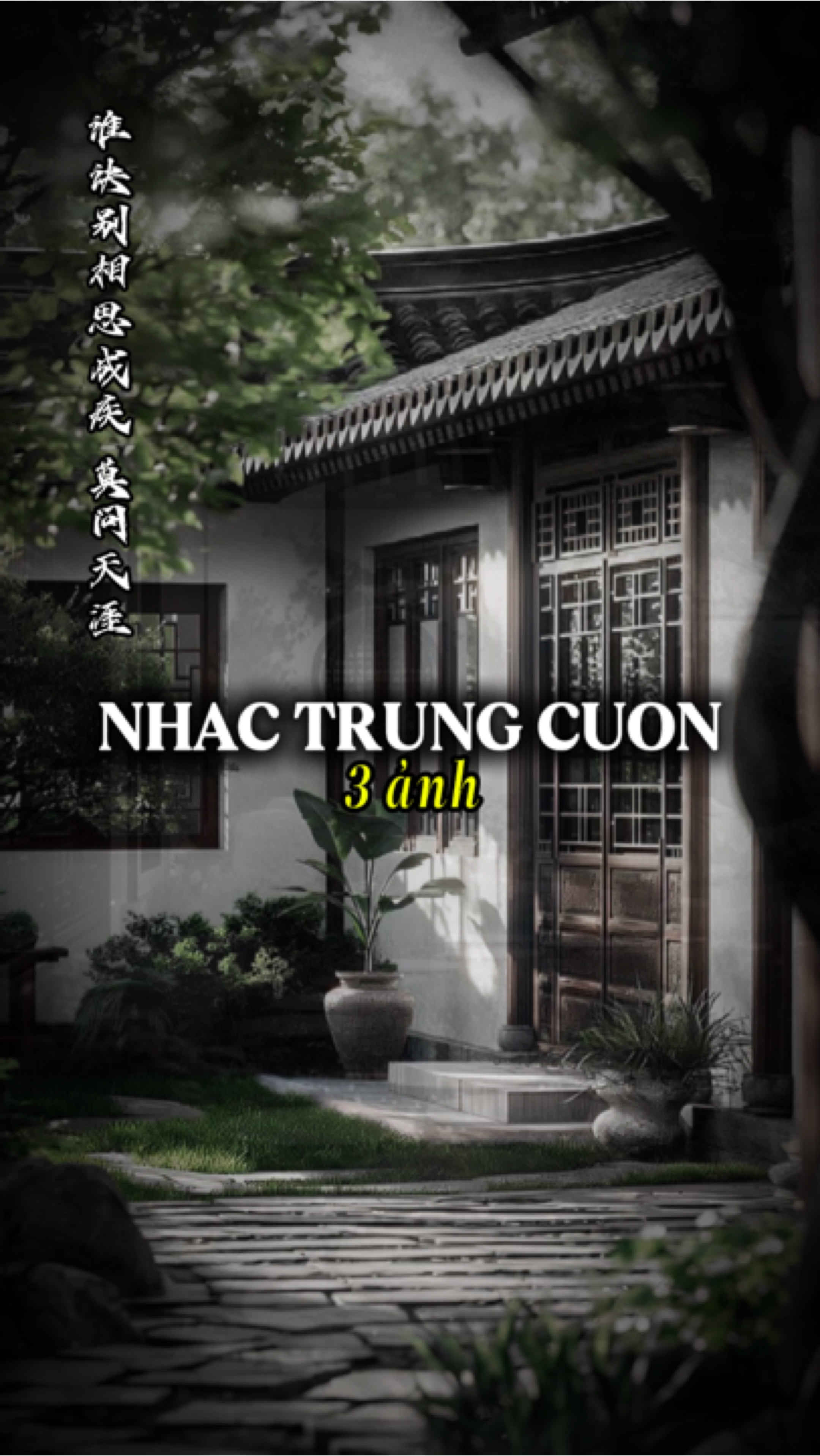 Mạc vấn quy kì 