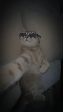 oi