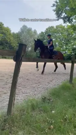 Walk to canter☀️