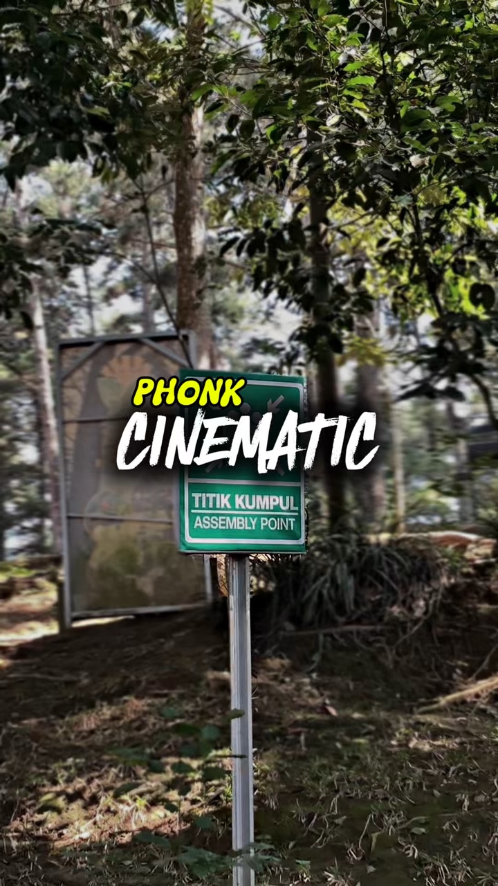 TÉLÉPHONE CINÉMATIQUE 