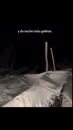 Gallinas