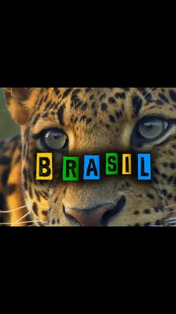 Brasil cidade bonita