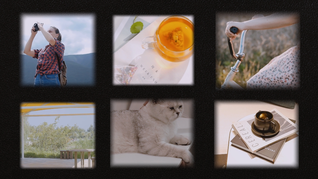 life series