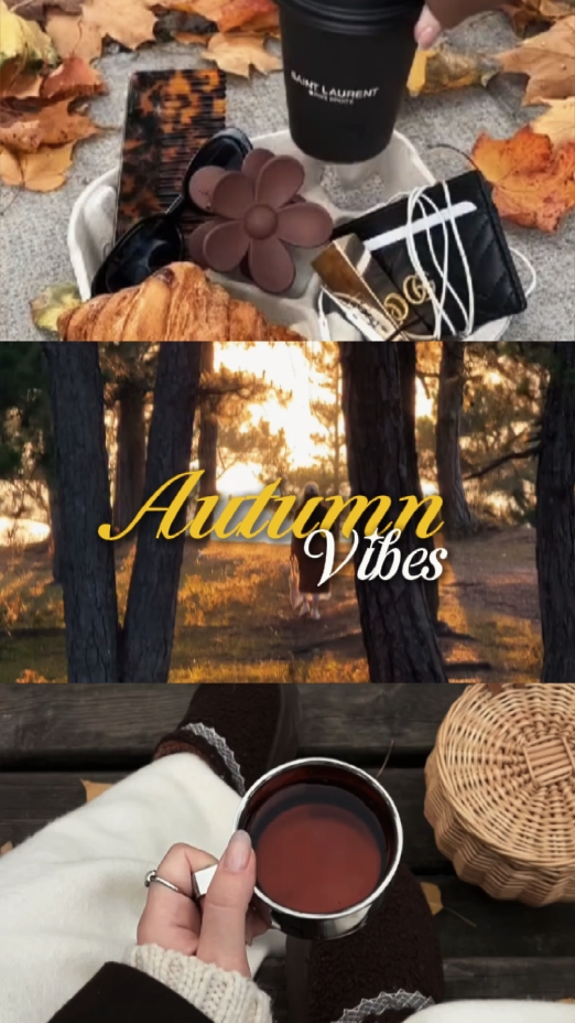 autumn vibes 