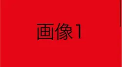 2枚繰り返し