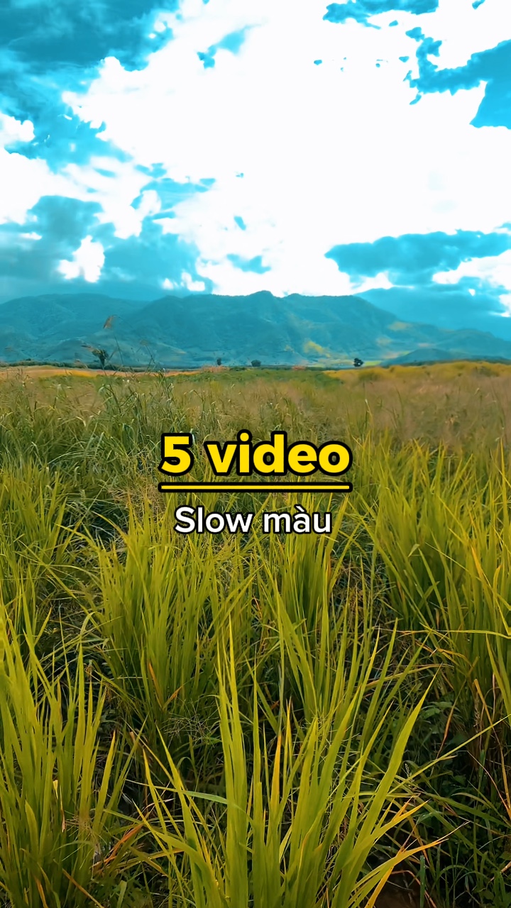 5 video slow màu