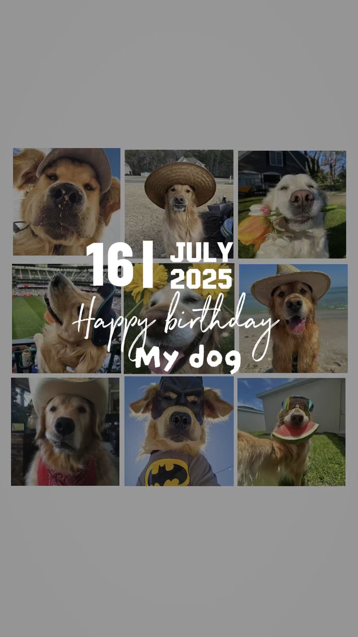 Alles Gute zum Geburtstag Hund
