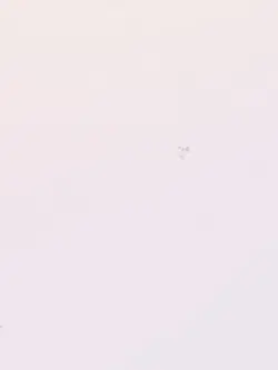 1vd32ảnh